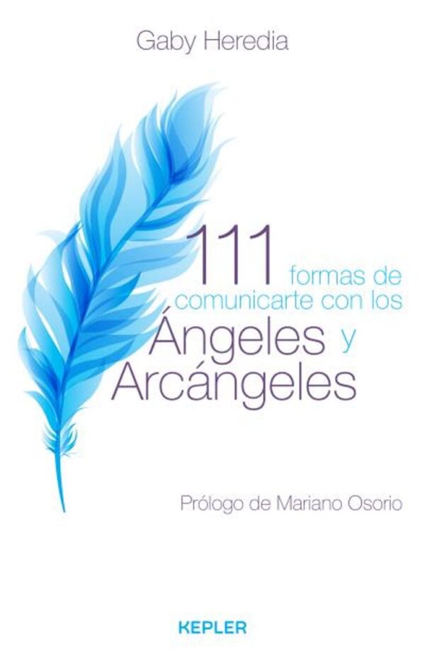 111 FORMAS DE COMUNICARTE CON LOS ANGELES Y ARCANGELES (MEX)