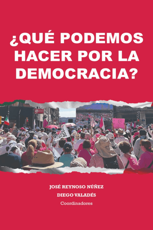QUE PODEMOS HACER POR LA DEMOCRACIA? (MEX)