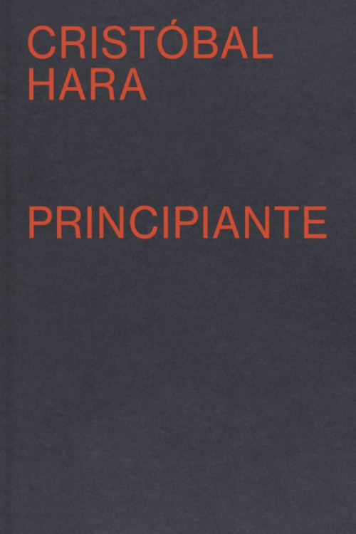PRINCIPIANTE (LAG)