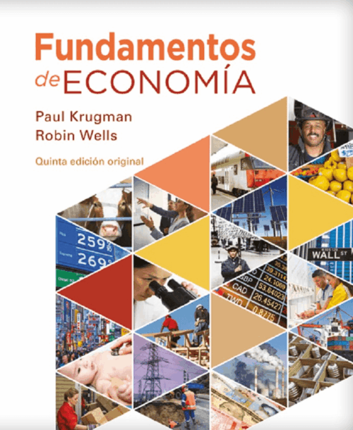 FUNDAMENTOS DE ECONOMIA 4 ED (RT)