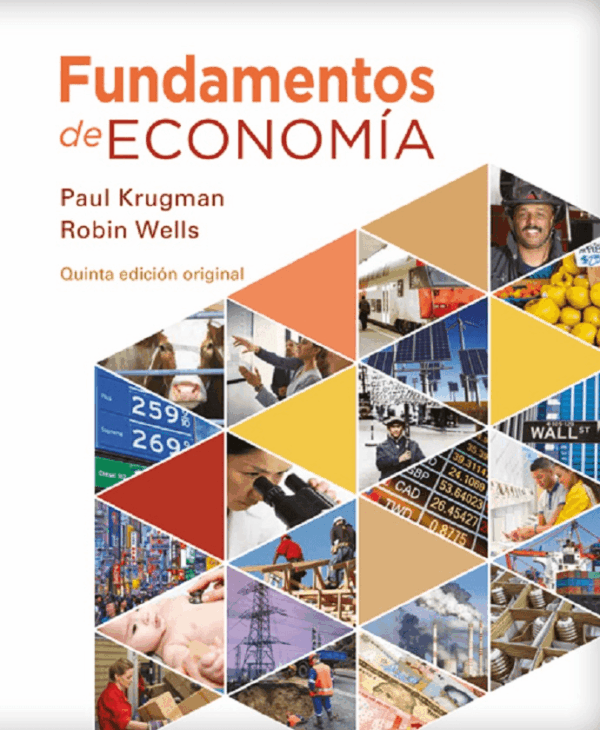 FUNDAMENTOS DE ECONOMIA 4 ED (RT)